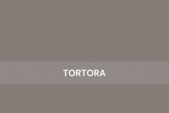 Tortora-HighGloss