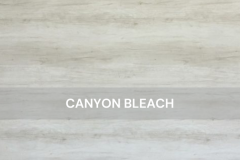SALT-Canyon Bleach-Reserve