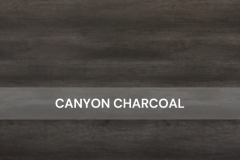 SALT - Canyon Charcoal-Reserve