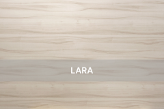 Salt-Saviola-Lara-Wood